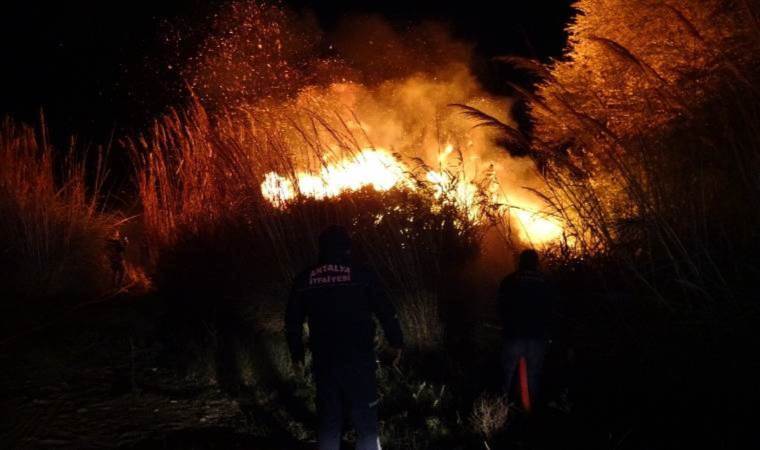Antalya’da korkutan yangın… Söndürüldü, rüzgarın etkisiyle yeniden başladı!