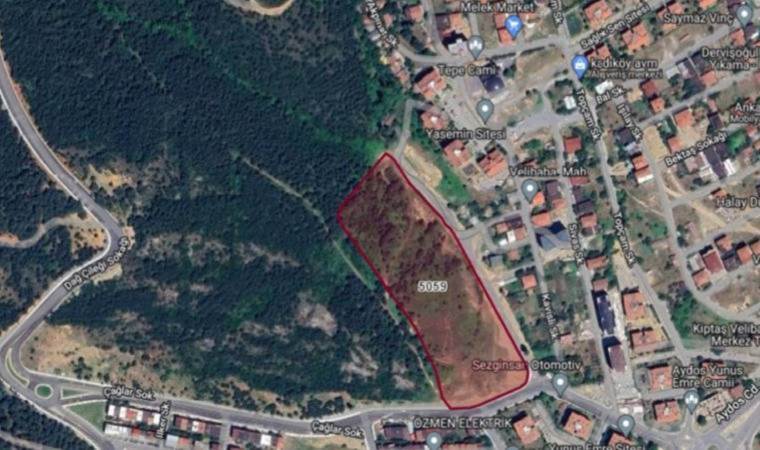 Velibaba Ormanı’nın bitişiğine konut onayı