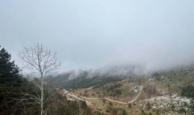 Koza Altın durmuyor: Sırada Gümüşhane var!