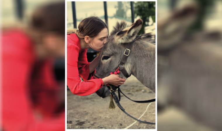 Yaratıcı ustaların yılı