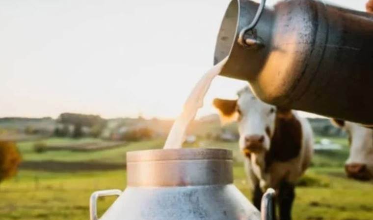 Çiğ sütün işlenmesine yönelik bazı özel hijyen kurallarına uyum süresi uzatıldı