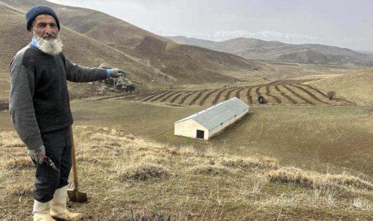 40 yıllık hayalini gerçekleştirdi:  2 dağ arasında meyve bahçesi kurdu