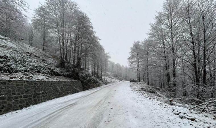 Artvin’de kar yağışı nedeniyle 13 köy yolu ulaşıma kapandı