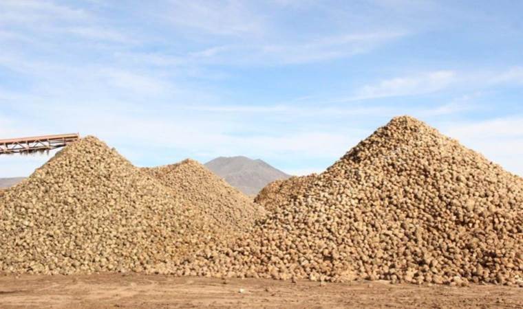 Üretimde rekor kırıldı! Karaman’da hasta edilen ürünler dağ gibi birikti