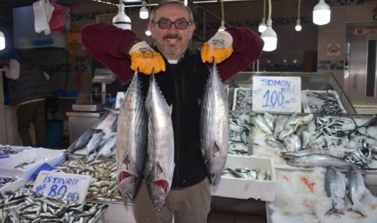 Palamudun yerini aldı: Tanesi 500 lira! D vitamini ve protein deposu