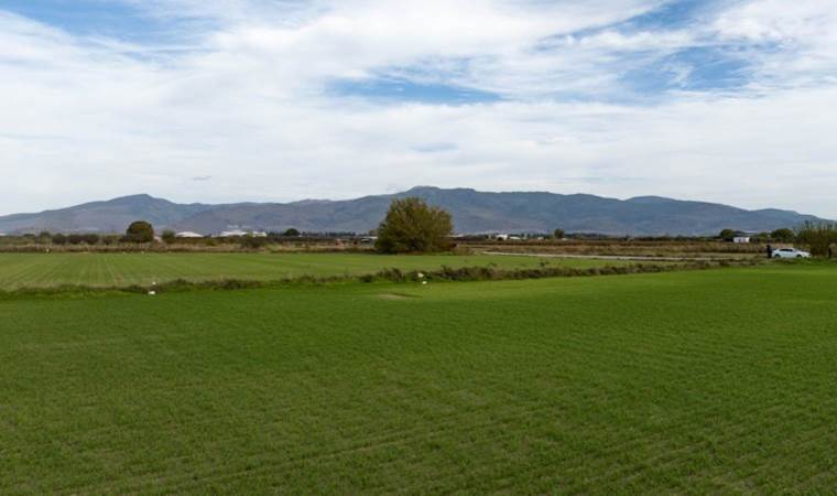 Metrekareye 120 kilogram yağış düştü, çiftçinin yüzü güldü