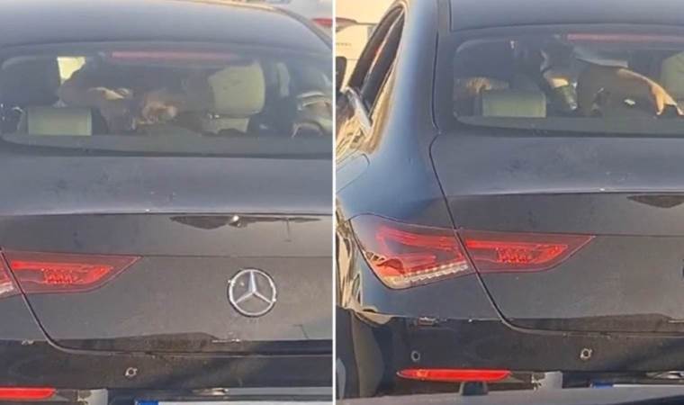 Kadın İstanbul’da darbedildi: Alman polisinden açıklama geldi