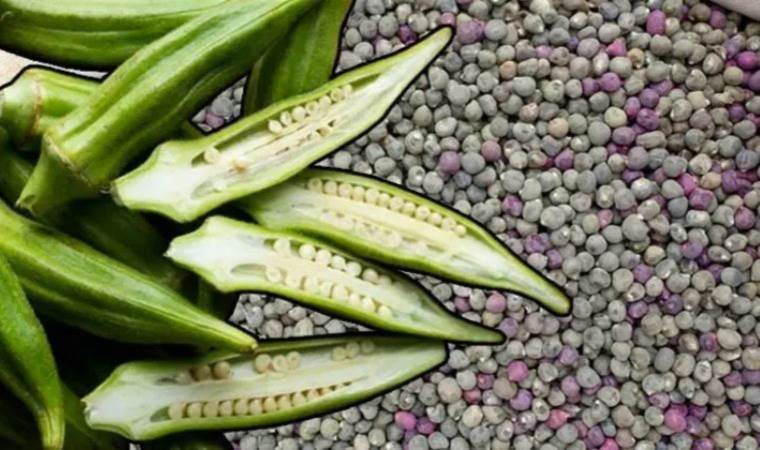 Kilo vermek isteyenlerin ilk tercihi! Doktorlar öneriyor…