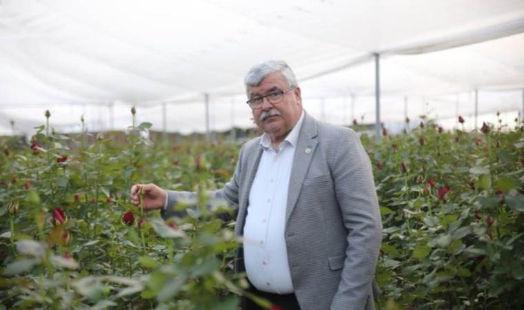 Tanesi  15 TL oldu, üretici çoğaldı! Hasat sezonu 8 ay sürüyor…