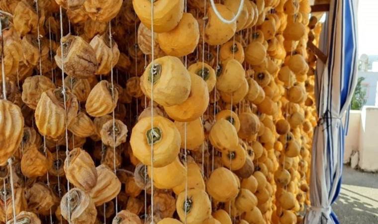 Kurutup tüketilen meyve kanseri bile engelliyor! Hem bağırsakların hem de bağışıklığın şifası…