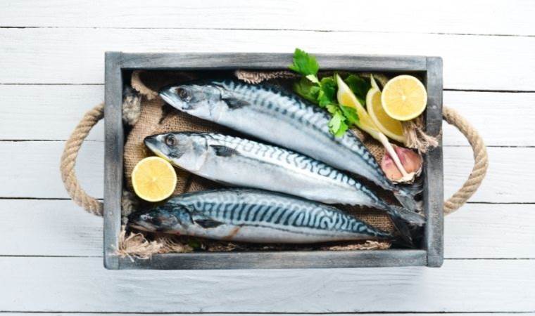 Torik balığı nedir, ne zaman çıkar? Torik balığı nasıl temizlenir ve nasıl pişirilir?