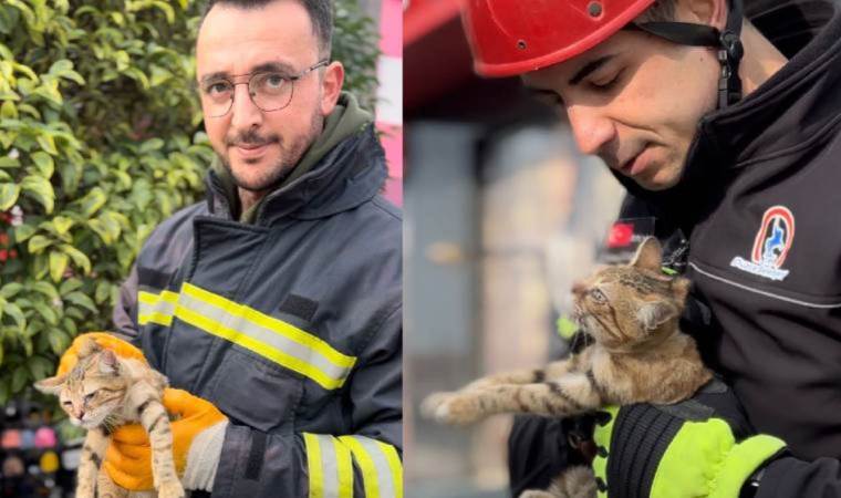 Çatıda mahsur kalan 3 yavru kediyi itfaiye kurtardı