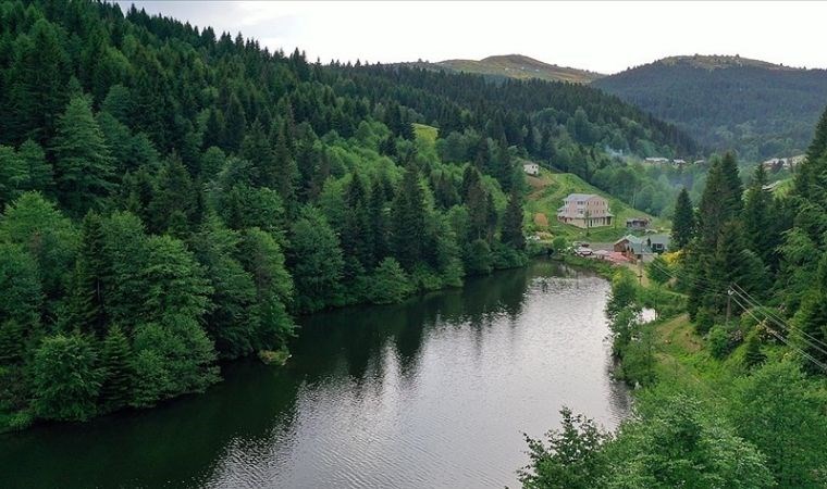 Karadeniz’de fiyatları şaşırtıyor: Yılbaşından bu yana fiyatlar yükseldi