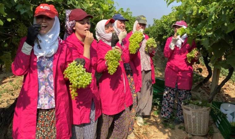 Denizi ve limanı olan ilçe 30 bin ton tarımsal ürünü 80 ülkeye ihraç etti!