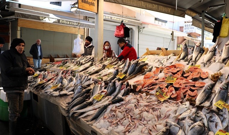 Sardalya, hamsi, çipura… Fırtına sonrası balık bollaştı