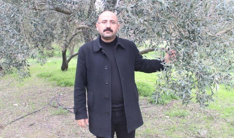 Mut’ta hasat sona erdi! 5 bin ton rekolte…