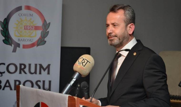 AYM üyesinden imalı paylaşımlar: ‘Karıncalar fili çok kıskanır…’