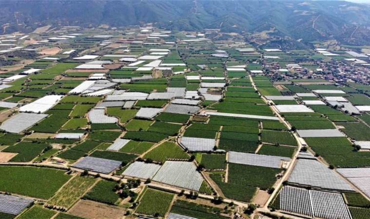 Sarıgöl Ovası’nda hasat dört mevsim sürüyor: Tarım işçisinin yaz-kış ekmek teknesi