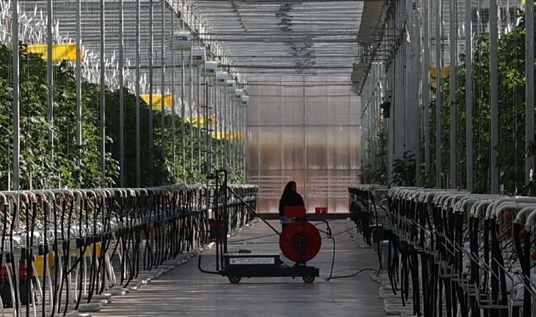 Sivas’ta çöpten elde edilen enerjiyle üretiliyor, Avrupa ülkelerine gönderiliyor!