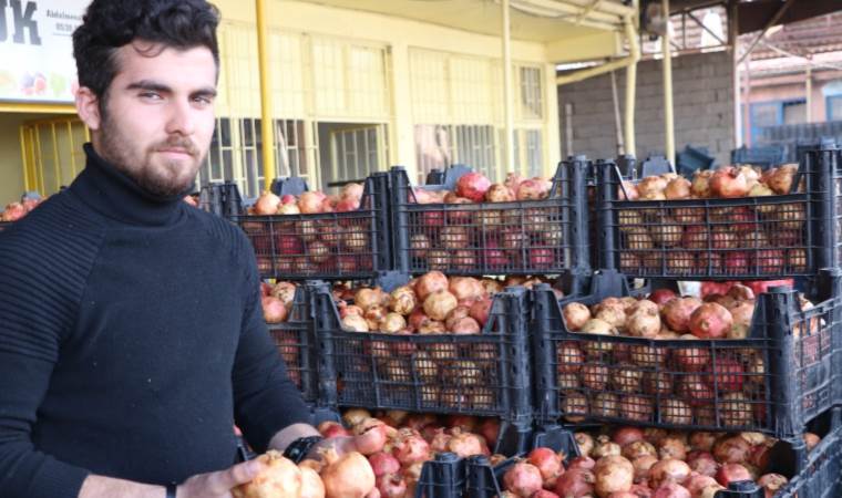 Siirt’te hasat tamamlandı: 11 bin ton üretim!  7 ay bozulmadan tazeliğini koruyor…