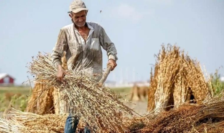 Tarımsal destek ödemesi yattı mı? Tarımsal destek ödemesi ne zaman yatacak? Tarımsal destek ödemesi nereden sorgulanır?