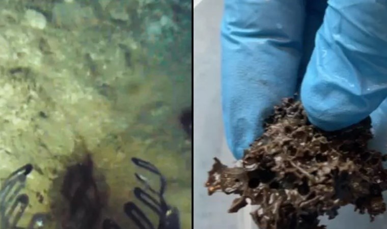 240 milyon TL’lik hazine denizden çıkarılmayı bekliyor