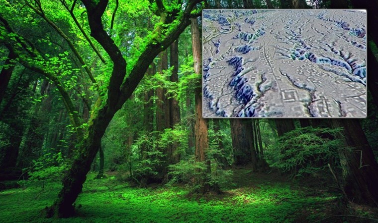 Amazon’un derinliklerinde ‘karmaşık bir yapı ağı’ ortaya çıkarıldı