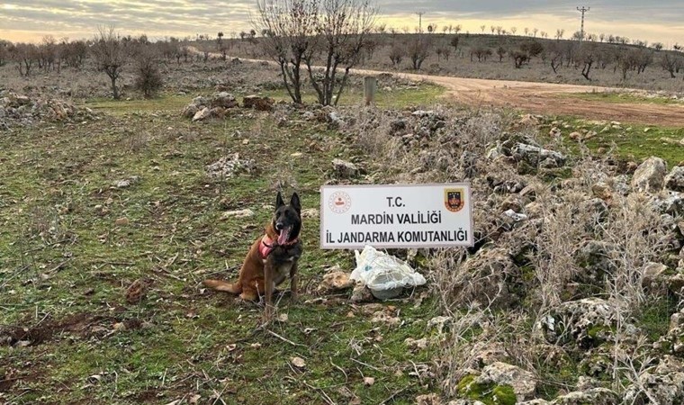 Mardin’de yola tuzaklanan EYP imha edildi