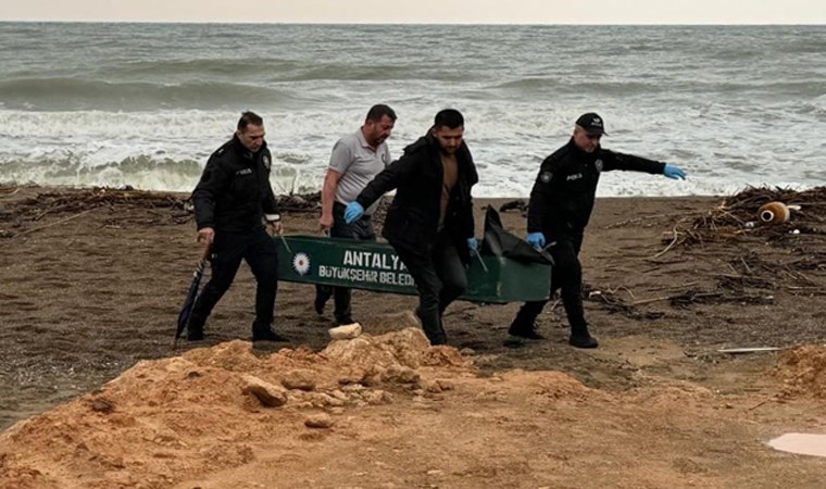 Son 5 günde 6’ncı… Valilikten Antalya sahillerindeki ‘cesetlere’ ilişkin açıklama