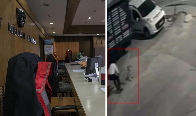 ‘Para cezası’ verildi… Köpeği öldüren sanıktan ilginç savunma!