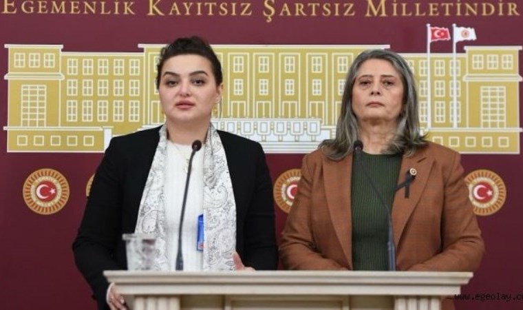 CHP’li Sibel Suiçmez, SMA hastalığına dikkat çekti