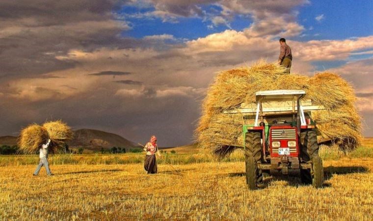 Beyin göçüne karşı öneri: ‘Çılgın proje kanal değil GAP olmalı’