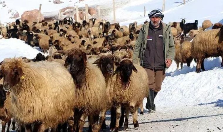 Göç etmeyen tek köy: Neslini korudu, araştırma konusu oldu