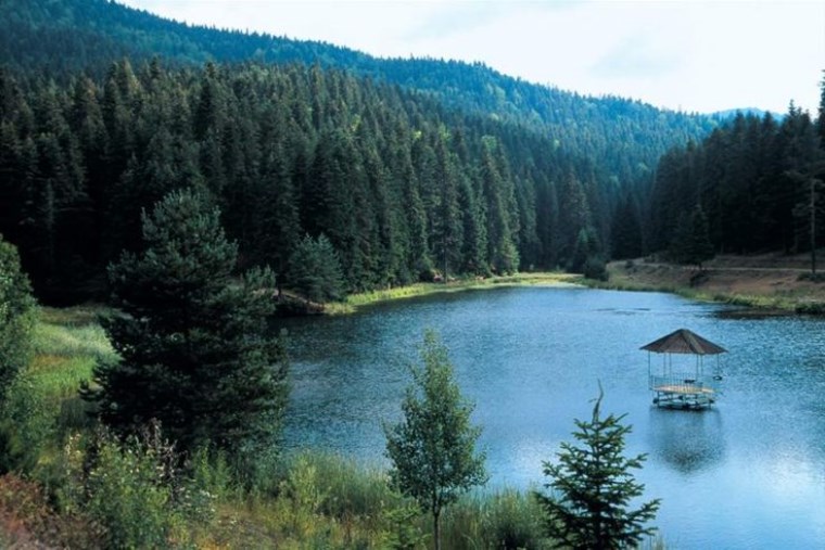 Karadeniz'in huzurlu limanı: Ayancık