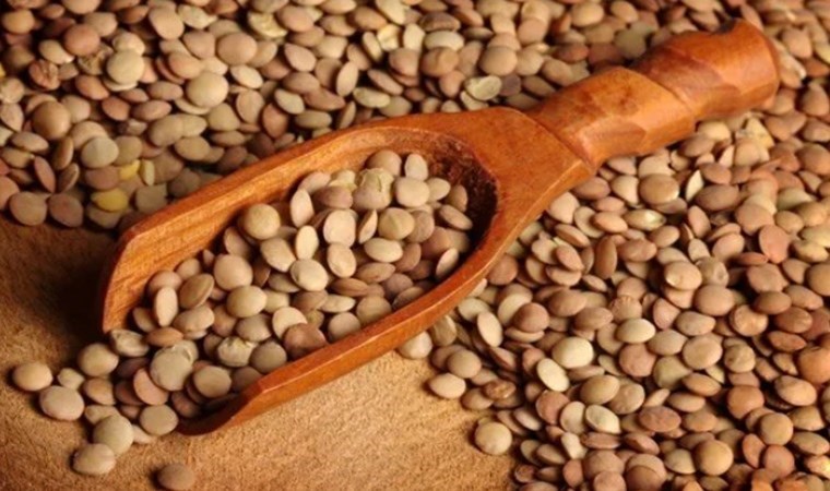 Resmi Gazete’de  yayımlandı: Yeşil mercimek ithalatında gümrük vergisi sıfırlandı