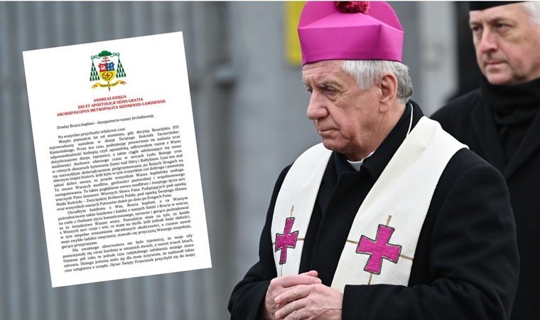 Papa, çocuk istismarını göz ardı ettiği ileri sürülen başpiskoposun istifasını kabul etti