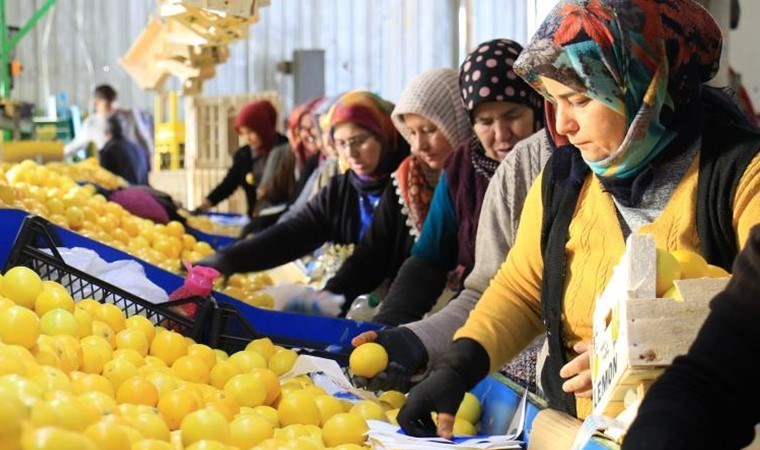 ‘Kütdiken’ ve ‘Lamas’  Erdemli’de kadınların gelir kapısı oldu! 60 ülkeye ihracat ediliyor