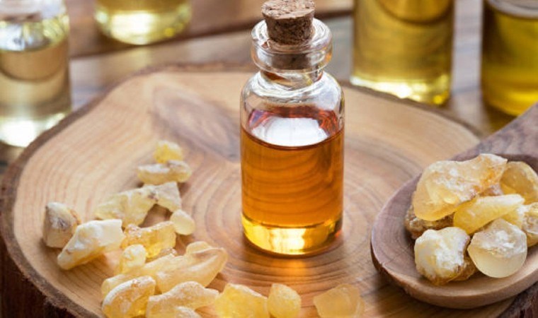 Marmaris’in değerli hazinesi: İşte Kleopatra’nın güzellik sırrı Sığla Yağı ve  faydaları…