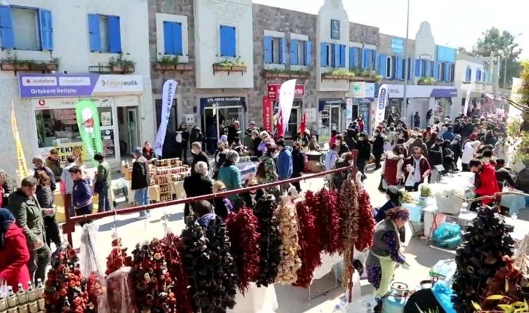 Bodrum’da ‘5. Acı Ot Festivali’ için geri sayım başladı