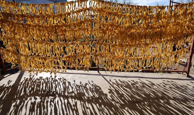 Çamaşır gibi ipe diziyorlar 20 katı pahalıya satıyorlar! Günlük 200 kilo…