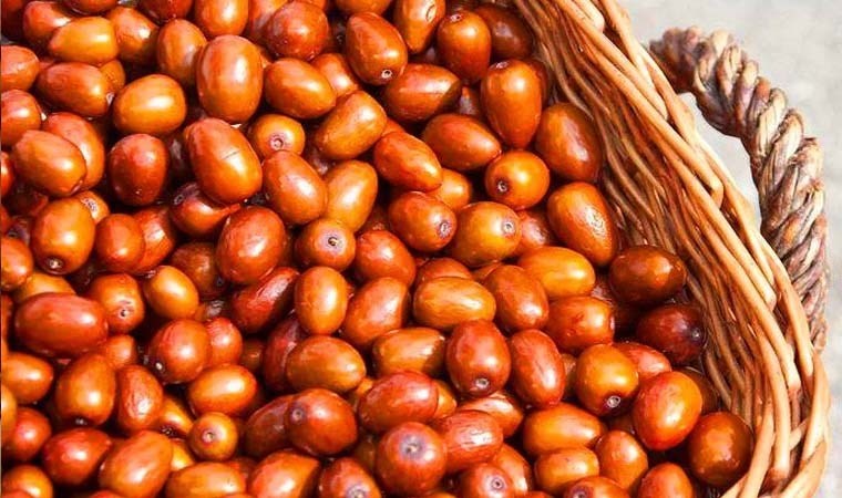 Faydaları saymakla bitmiyor! İğde tozu nedir? İğde tozunun faydaları neler?