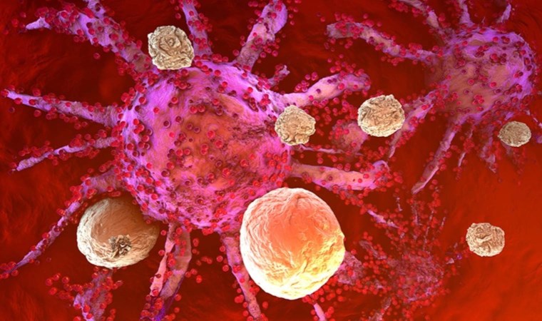 Dünya Kanser Günü’nde korkutan uyarı: Dünya’da her 5 kişiden 1’i kansere yakalanıyor