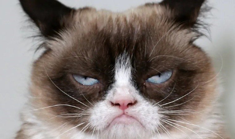 Onlarla baş etmek neredeyse imkansız! İşte memnun edilmesi zor olan 4 burç…