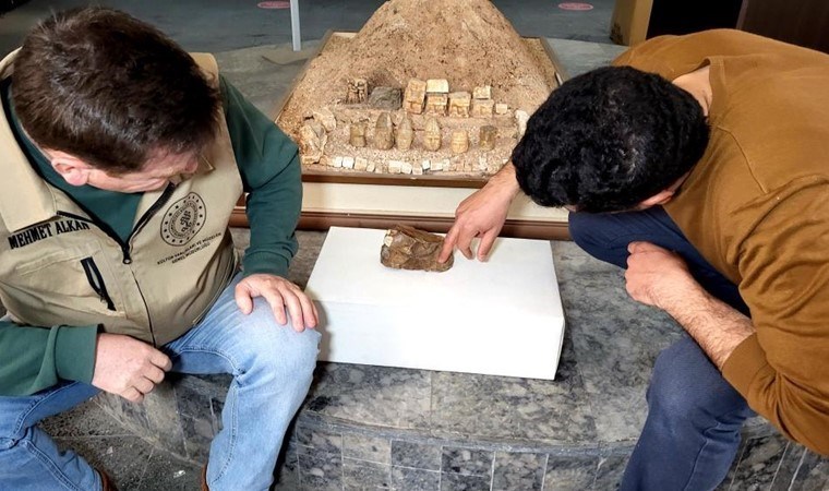 Adıyaman’da bulundu: 15 milyon yıllık olduğu tahmin ediliyor!  ‘Damarları belirgin şekilde görülüyor’