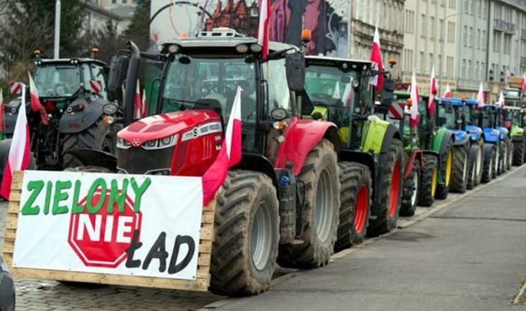AB temsilciliğine yumurtalı protesto