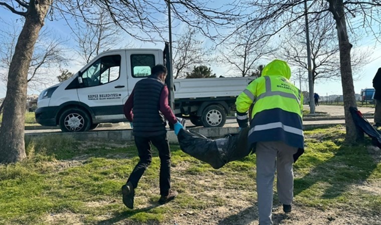 Çanakkale’de ölü yavru yunus sahile vurdu