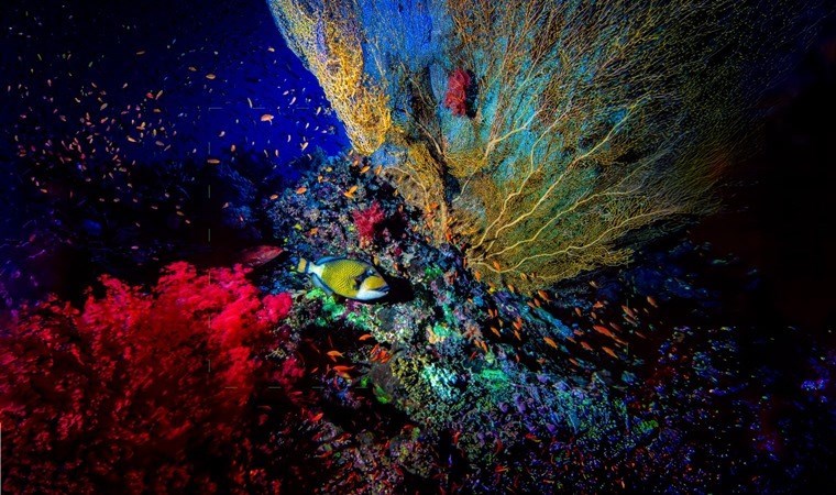 Yapay zekânın fotoğraf sanatı üzerindeki evrimi Gama Gallery’de