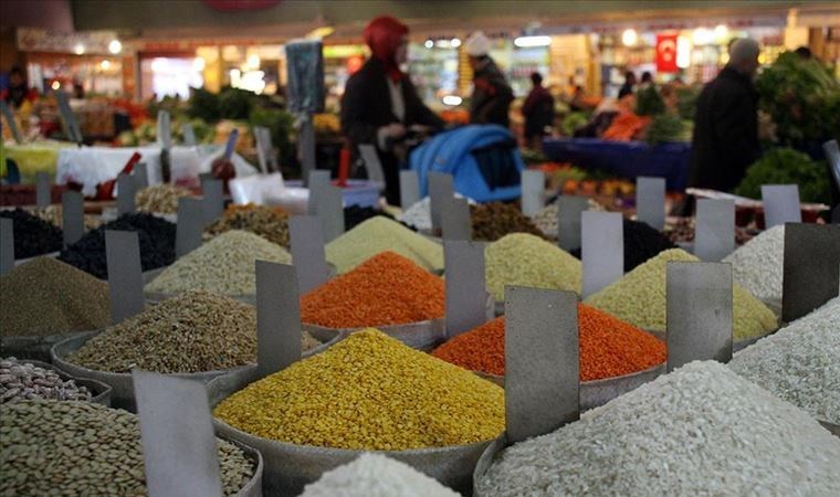 Koli zamlı, ürün az