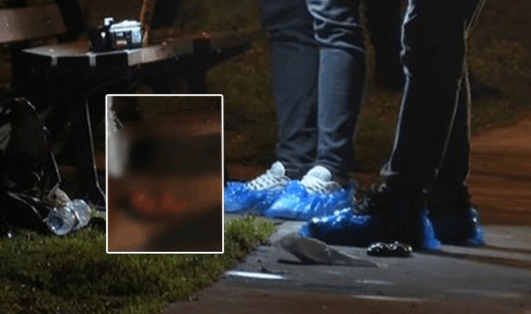 İstanbul’da kan donduran olay… Ağaca asılı çöp poşetinden cenin çıktı