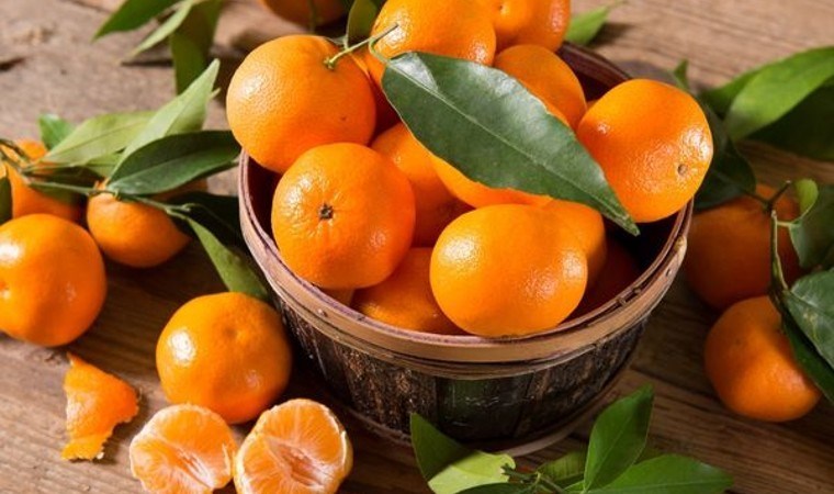 Bilinenin aksine sağlığınıza zarar verebilir: İşte ekşi mandalina tüketiminin ardındaki tehlike…